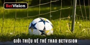 Hướng dẫn anh em tham gia chơi cá cược thể thao Betvision