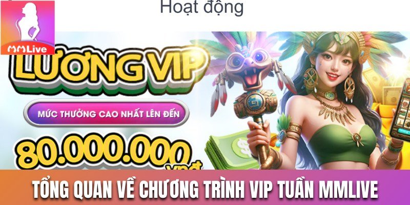 Sơ lược về chương trình VIP Tuần MMLive