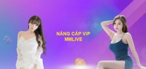 Cách Nâng Cấp VIP MMlive Và Quyền Lợi Dành Cho Người Dùng