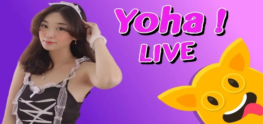 Yoha Live là một trong những ứng dụng livestream được nhiều người sử dụng