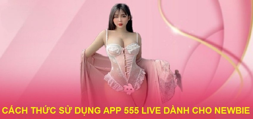 Hướng dẫn nhanh giúp người mới làm quen với 555 Live