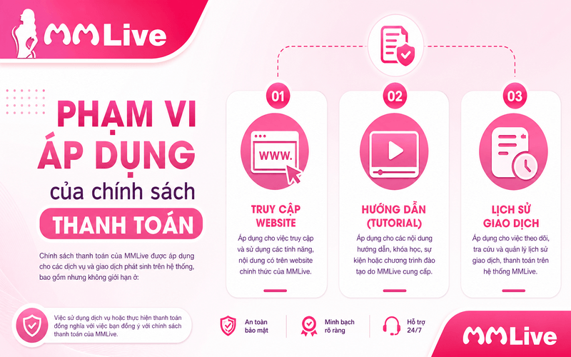 Phạm vi áp dụng của chính sách thanh toán